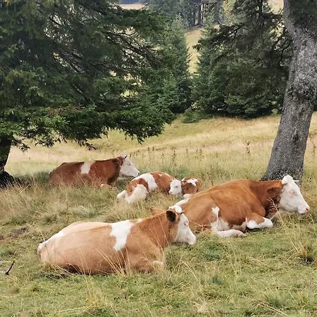 דירה Pocket Rogla - Gaber 121 Zreče