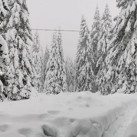 Pocket Rogla - Gaber 121 Appartement Zreče