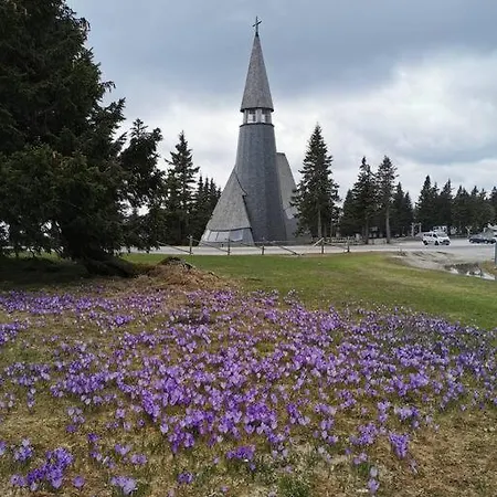 Pocket Rogla - Gaber 121 * Zreče