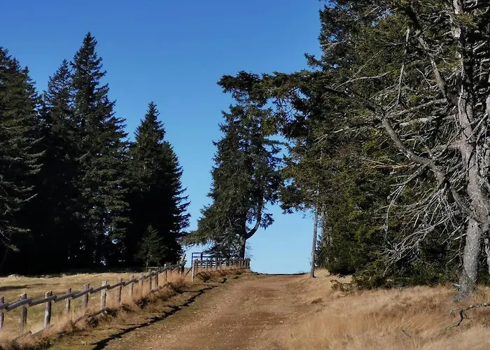 Lägenhet Pocket Rogla - Gaber 121 Zreče