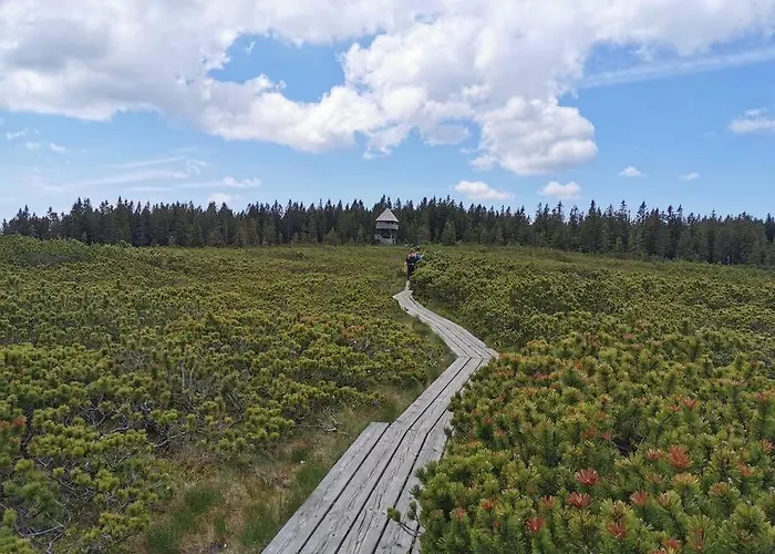 Pocket Rogla - Gaber 121 Lägenhet Zreče