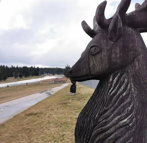 Pocket Rogla - Gaber 121 Zreče