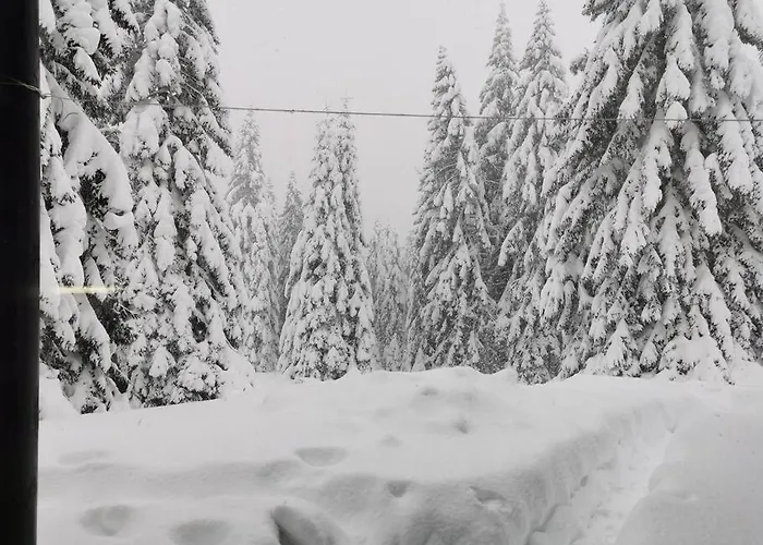 Pocket Rogla - Gaber 121 Lägenhet Zreče