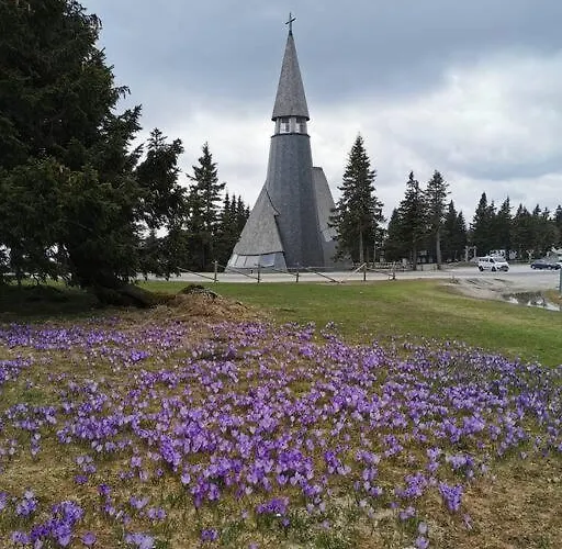 Pocket Rogla - Gaber 121 * Zreče